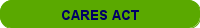 CARES ACT LINK