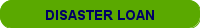 DISASTER LOAN APPLICATION